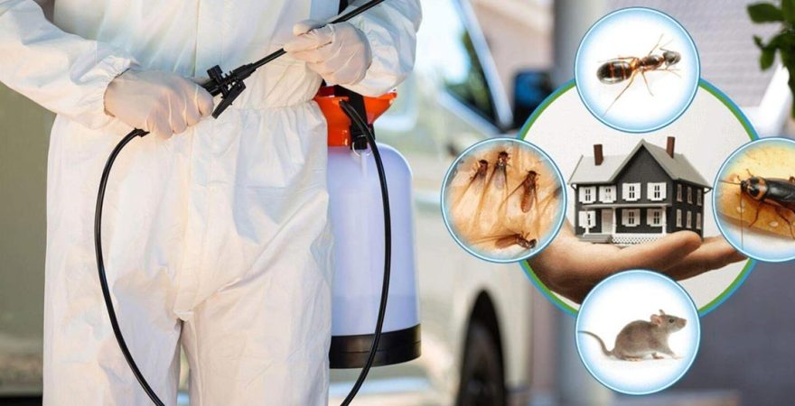 Fethiye Böcek İlaçlama