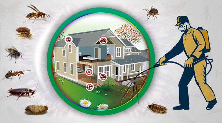 Fethiye Böcek İlaçlama