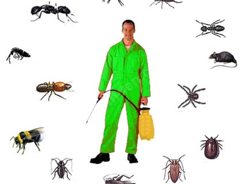 Fethiye Böcek İlaçlama